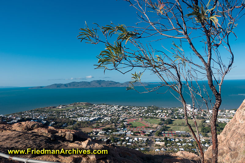 hill,hike,view,outdoors,shore,tree,overlook,